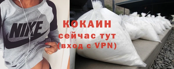 стаф Болотное