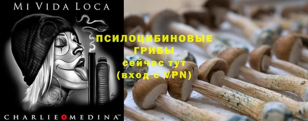 герыч Краснослободск