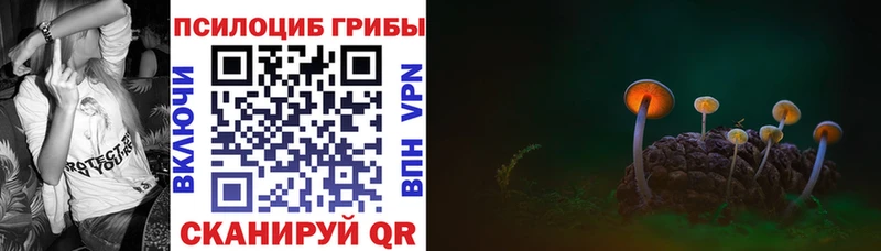 OMG зеркало  Льгов  Псилоцибиновые грибы Magic Shrooms 